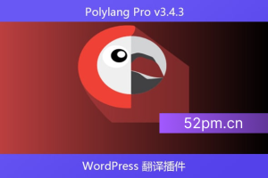 Polylang Pro v3.4.3 – WordPress 翻译插件